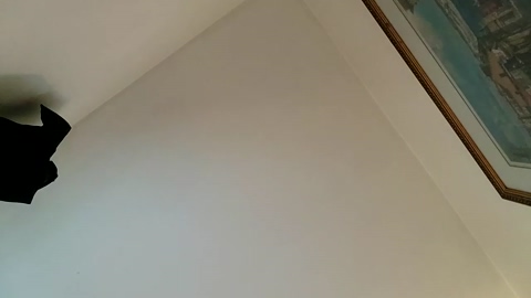 gaypoonboy  22-07-2022